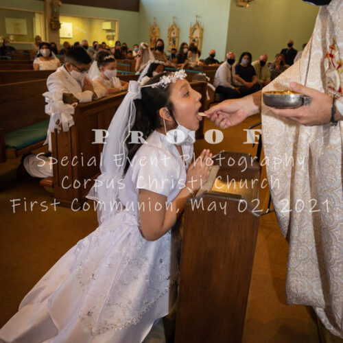 Corpus-Christi-First-Communion-43